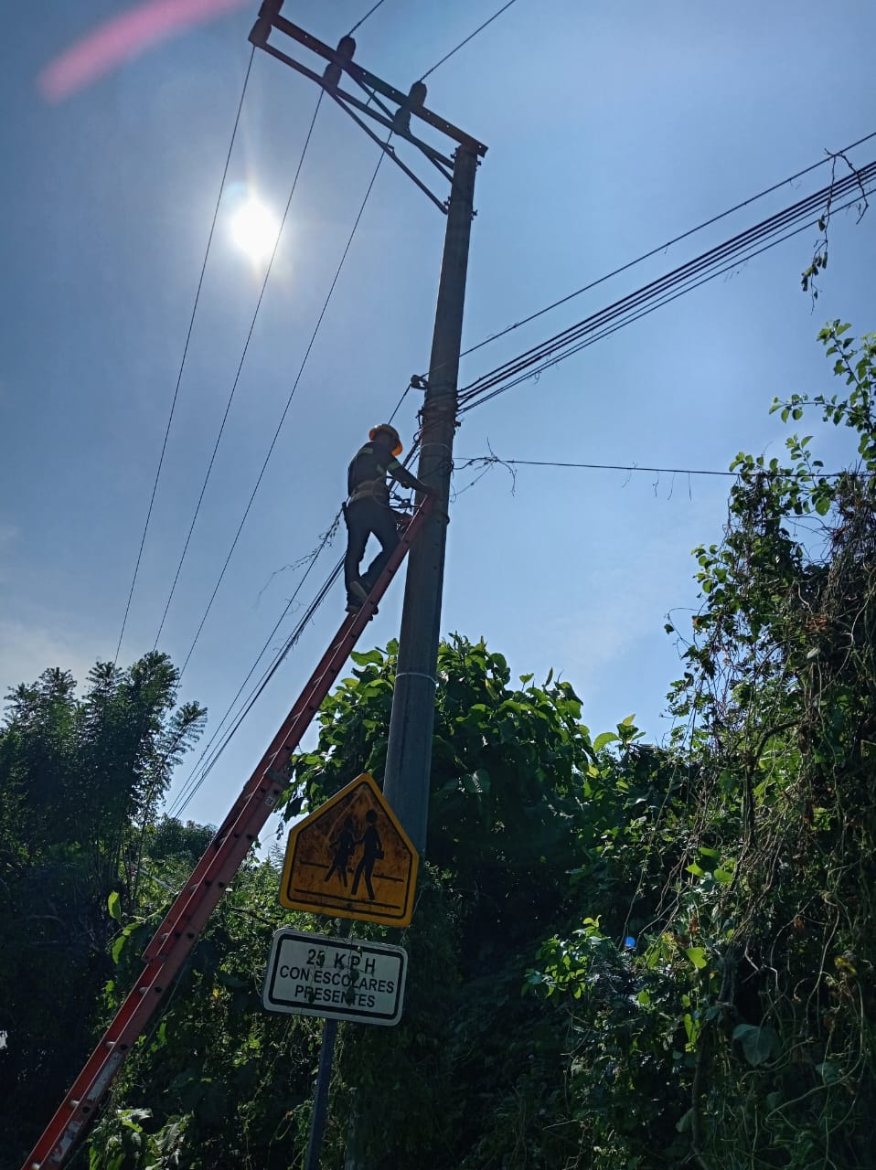 Cableado y conexión
